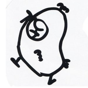 Fei-ge's Chicken Signature